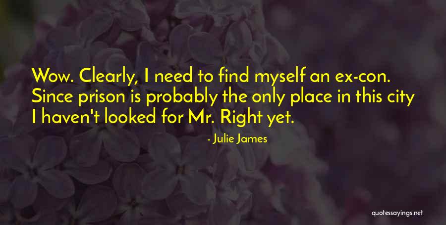 Something About You Julie James Quotes By Julie James