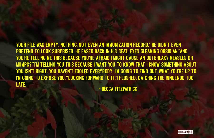 Something About Your Eyes Quotes By Becca Fitzpatrick