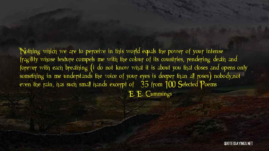 Something About Your Eyes Quotes By E. E. Cummings