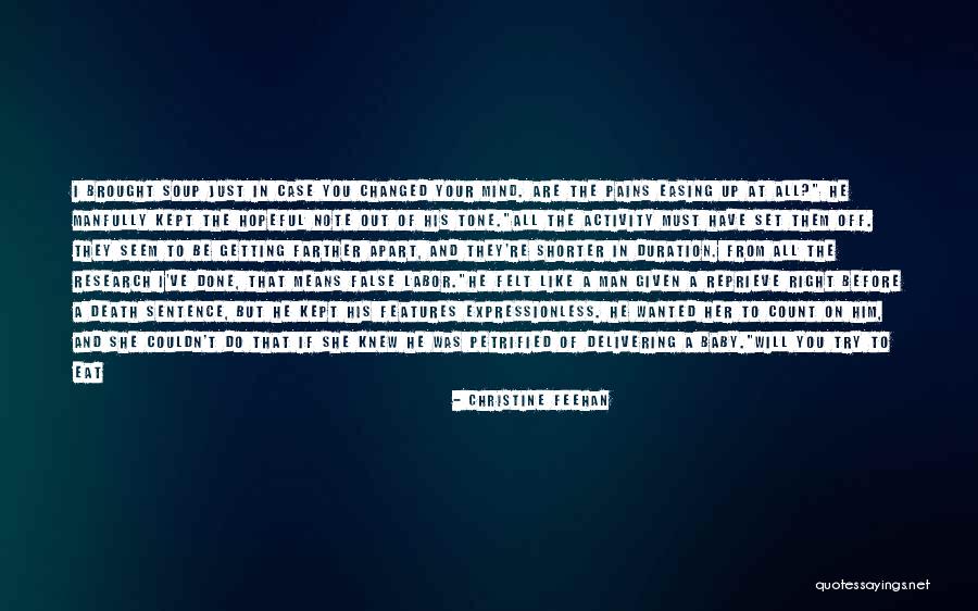 Something About Your Smile Quotes By Christine Feehan Something About Your Smile Quotes By Christine Feehan