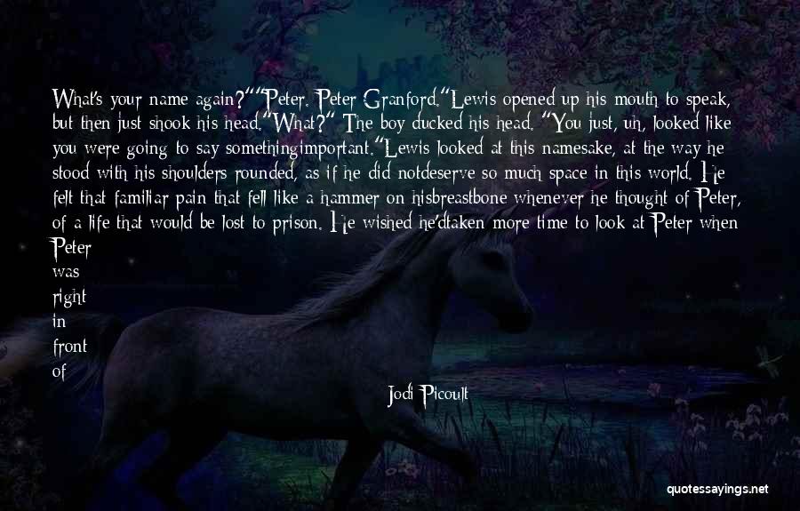 Something About Your Smile Quotes By Jodi Picoult Something About Your Smile Quotes By Jodi Picoult