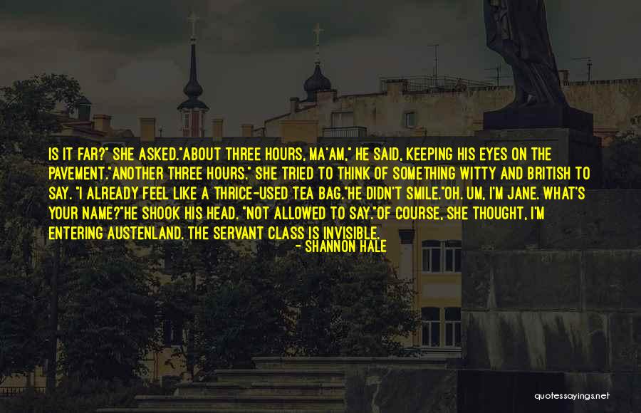 Something About Your Smile Quotes By Shannon Hale Something About Your Smile Quotes By Shannon Hale