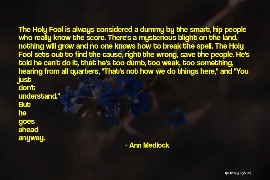 Something Always Goes Wrong Quotes By Ann Medlock