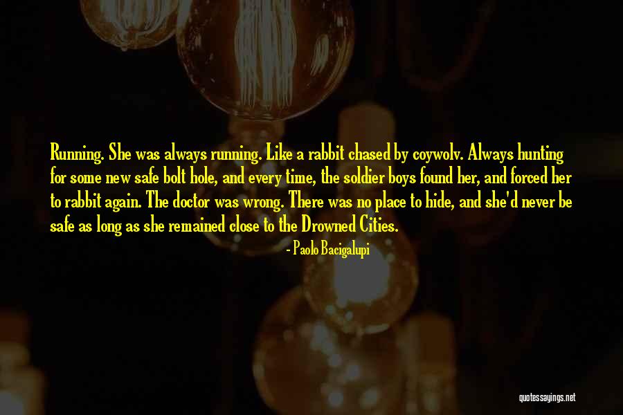 Something Always Goes Wrong Quotes By Paolo Bacigalupi