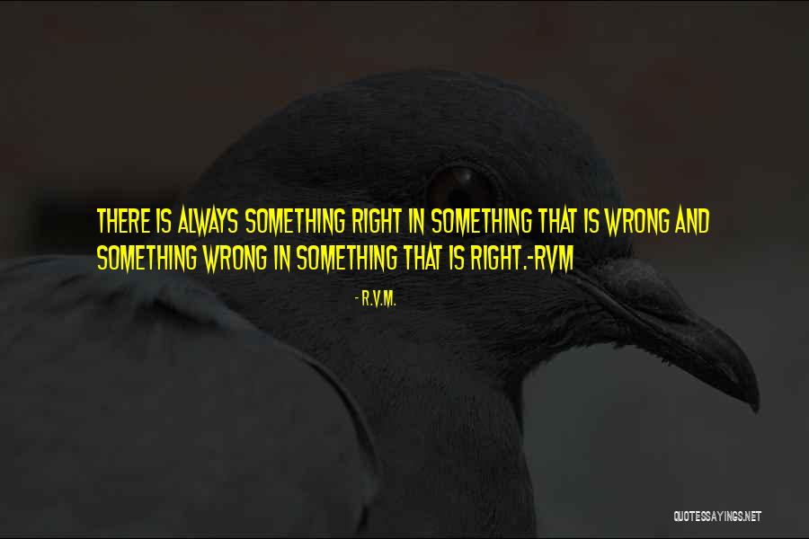 Something Always Goes Wrong Quotes By R.v.m.