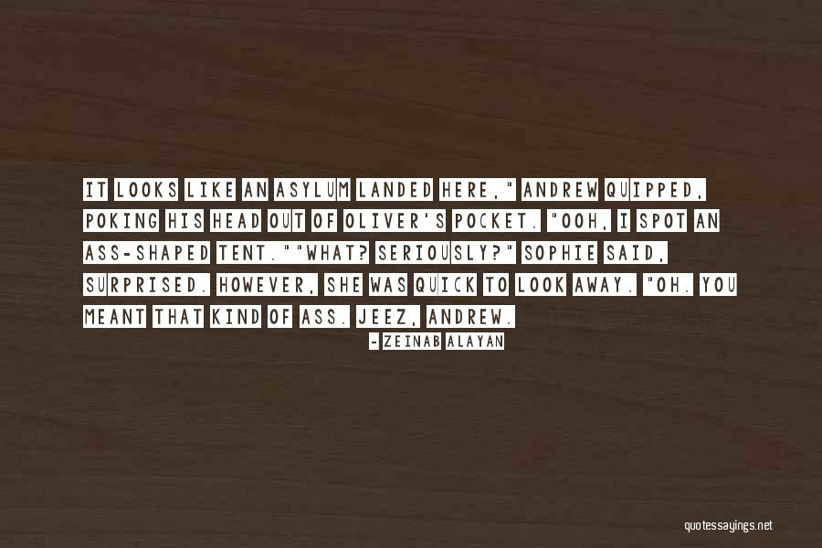 Something Are Just Not Meant To Be Quotes By Zeinab Alayan Something Are Just Not Meant To Be Quotes By Zeinab Alayan