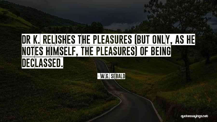 Something Being Yours Quotes By W.G. Sebald Something Being Yours Quotes By W.G. Sebald