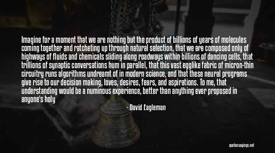 Something Better Coming Along Quotes By David Eagleman