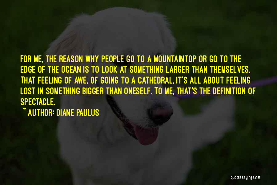 Something Bigger Than Me Quotes By Diane Paulus