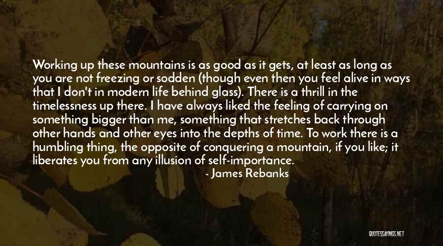 Something Bigger Than Me Quotes By James Rebanks