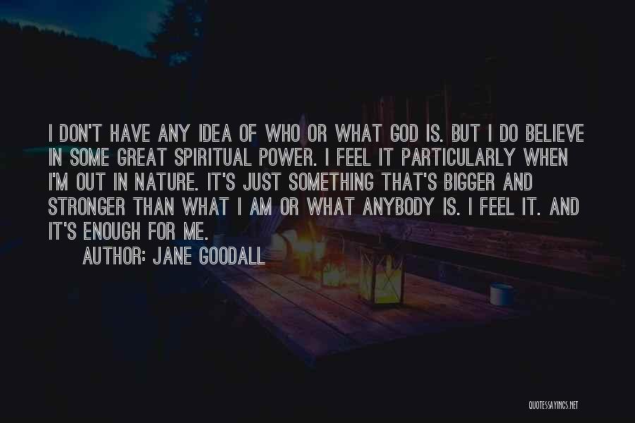 Something Bigger Than Me Quotes By Jane Goodall