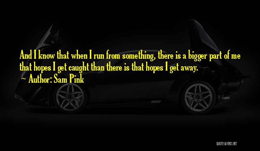 Something Bigger Than Me Quotes By Sam Pink