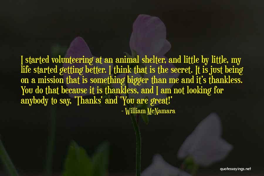 Something Bigger Than Me Quotes By William McNamara