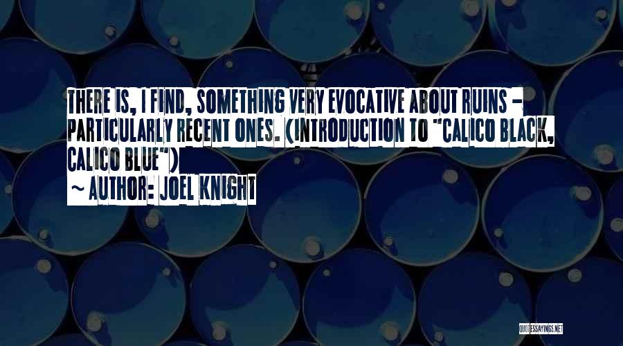 Something Blue Quotes By Joel Knight