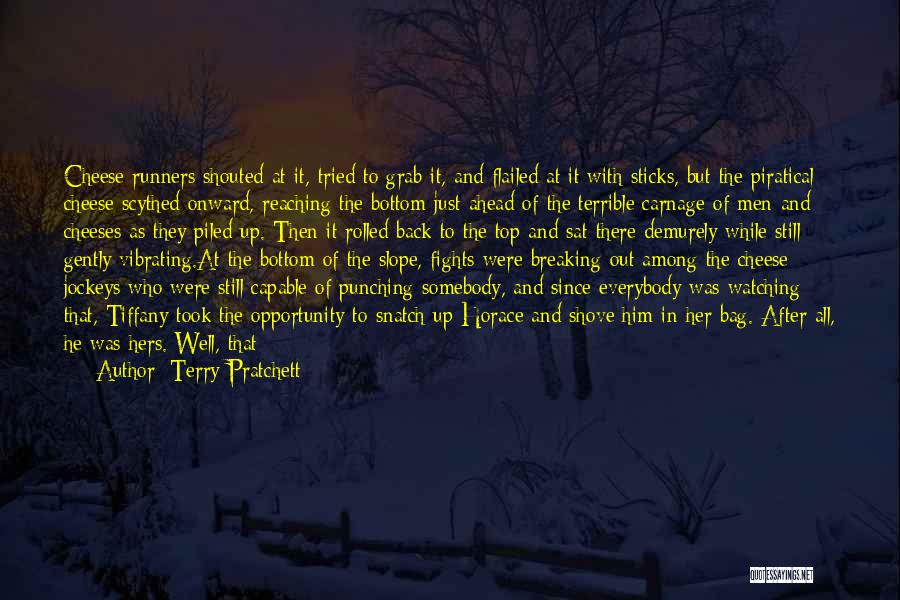 Something Blue Quotes By Terry Pratchett