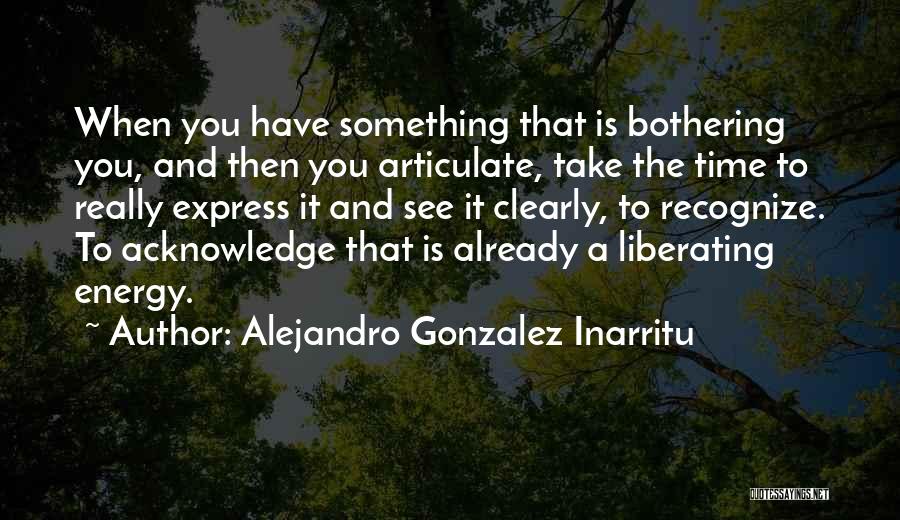 Something Bothering Quotes By Alejandro Gonzalez Inarritu