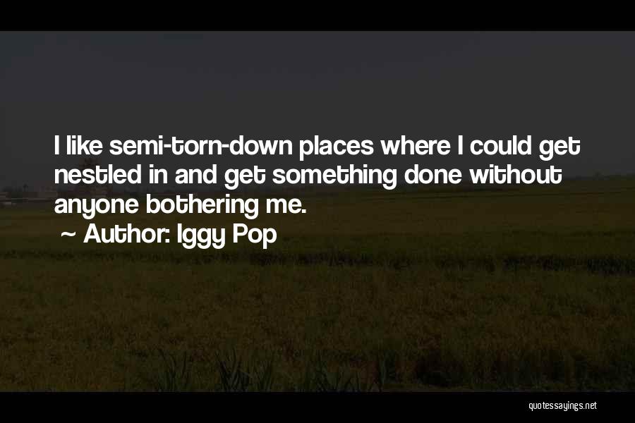 Something Bothering Quotes By Iggy Pop