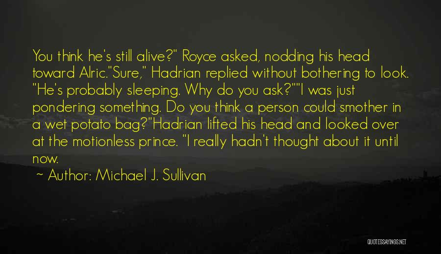 Something Bothering Quotes By Michael J. Sullivan