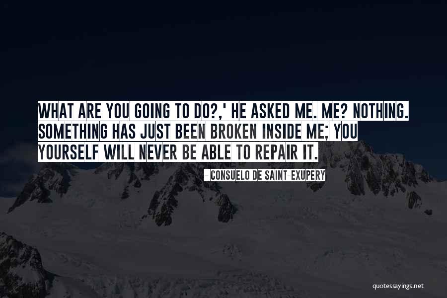 Something Broken Quotes By Consuelo De Saint-Exupery Something Broken Quotes By Consuelo De Saint-Exupery