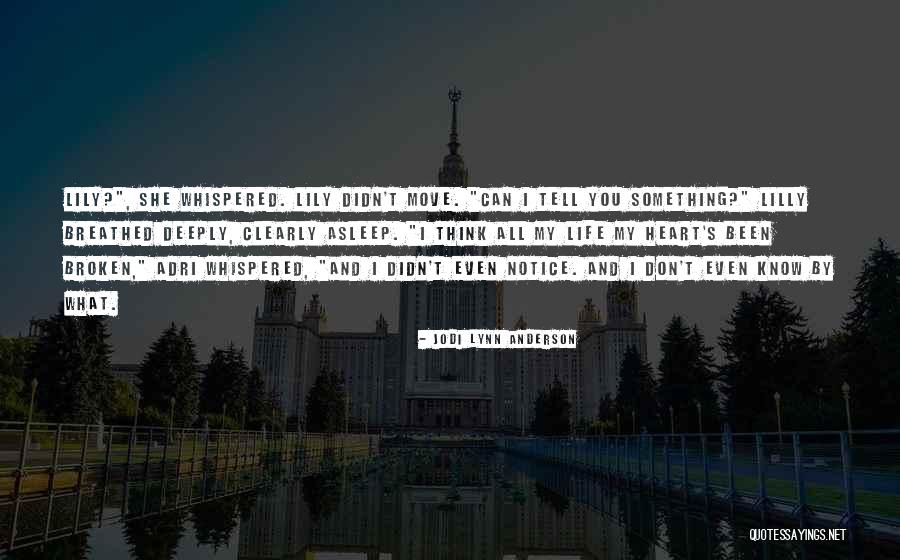 Something Broken Quotes By Jodi Lynn Anderson Something Broken Quotes By Jodi Lynn Anderson