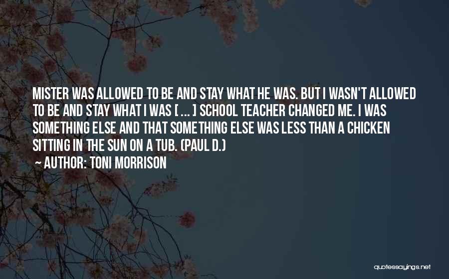 Something Changed In Me Quotes By Toni Morrison
