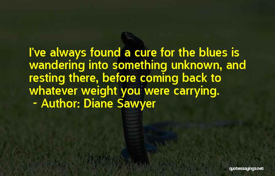 Something Coming Back To You Quotes By Diane Sawyer