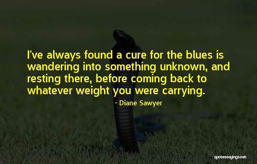 Something Coming Back To You Quotes By Diane Sawyer