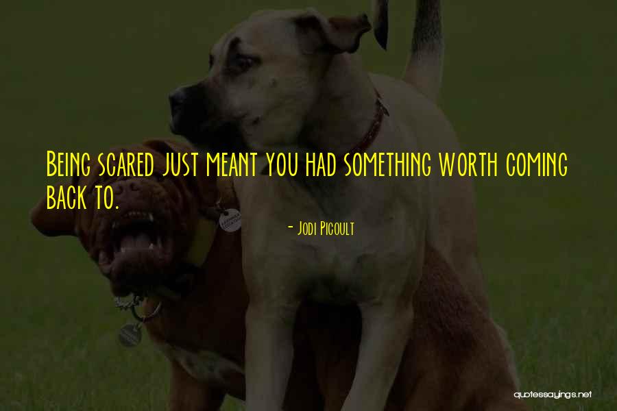 Something Coming Back To You Quotes By Jodi Picoult Something Coming Back To You Quotes By Jodi Picoult