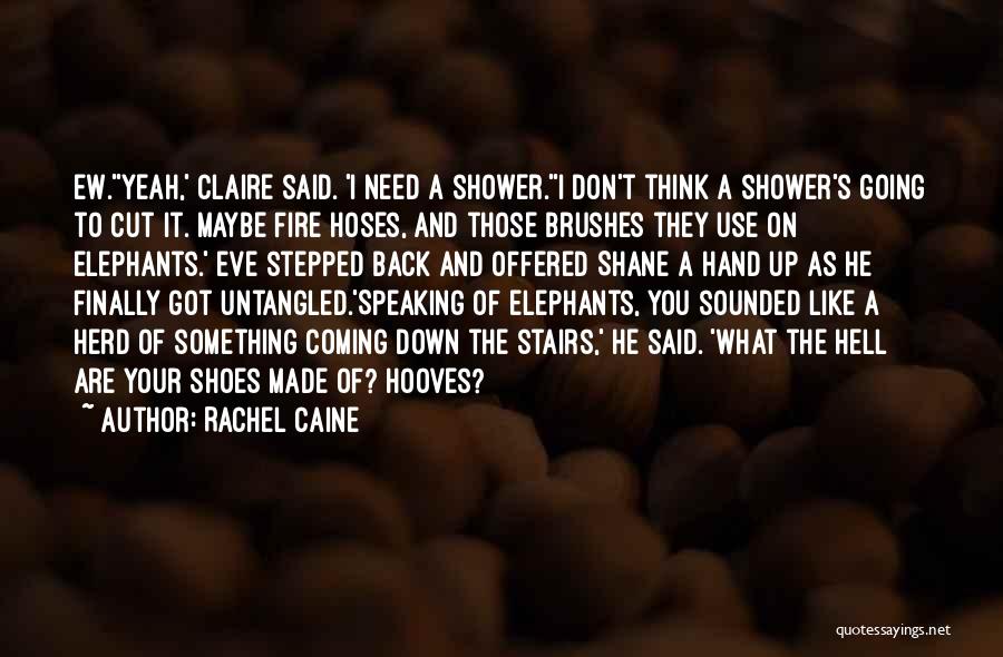 Something Coming Back To You Quotes By Rachel Caine