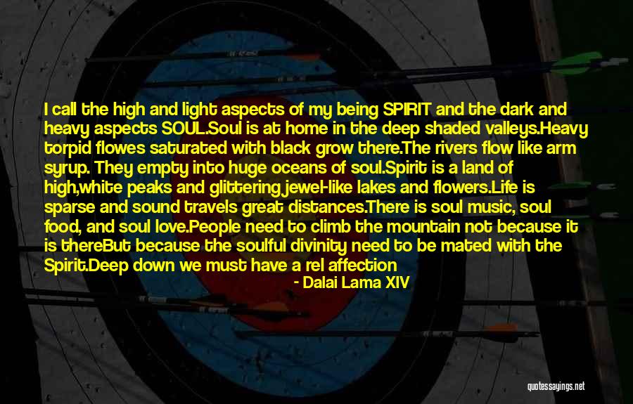 Something Deep Down In My Soul Quotes By Dalai Lama XIV Something Deep Down In My Soul Quotes By Dalai Lama XIV
