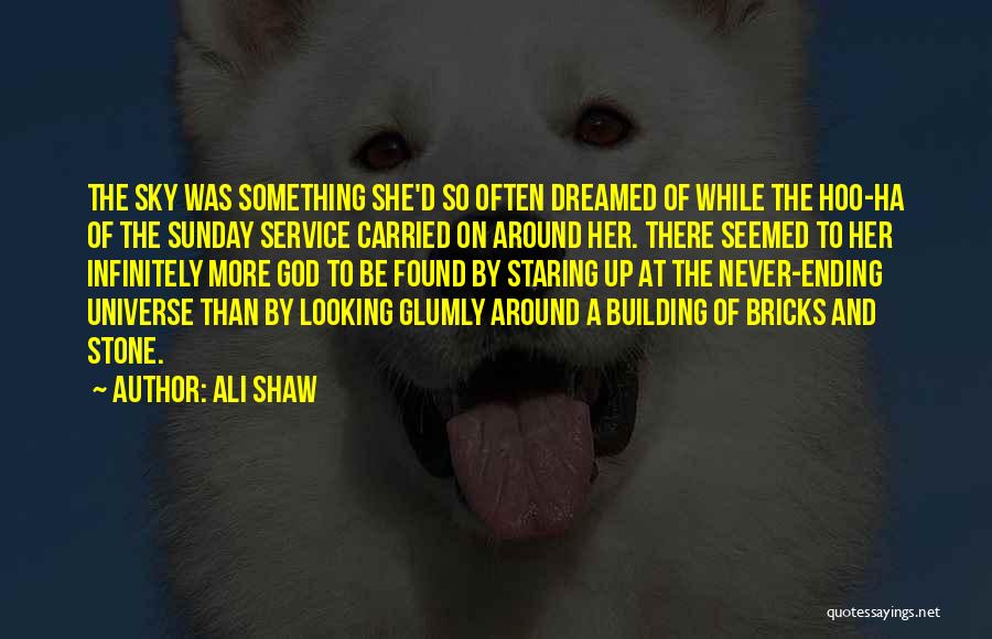 Something Ending Quotes By Ali Shaw