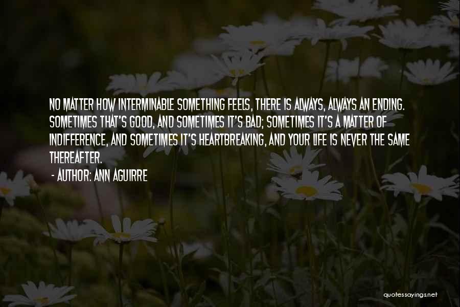 Something Ending Quotes By Ann Aguirre