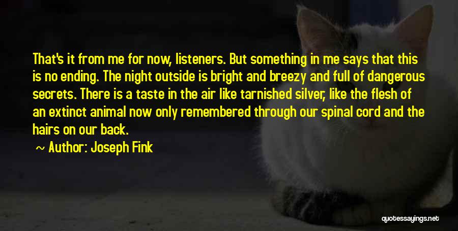 Something Ending Quotes By Joseph Fink