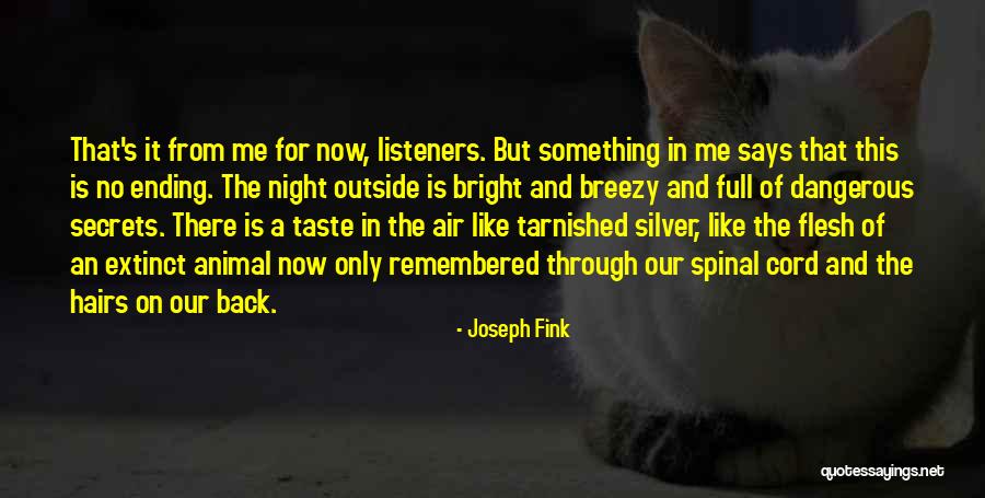 Something Ending Quotes By Joseph Fink