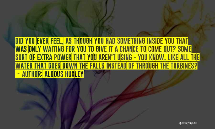 Something Extra Quotes By Aldous Huxley