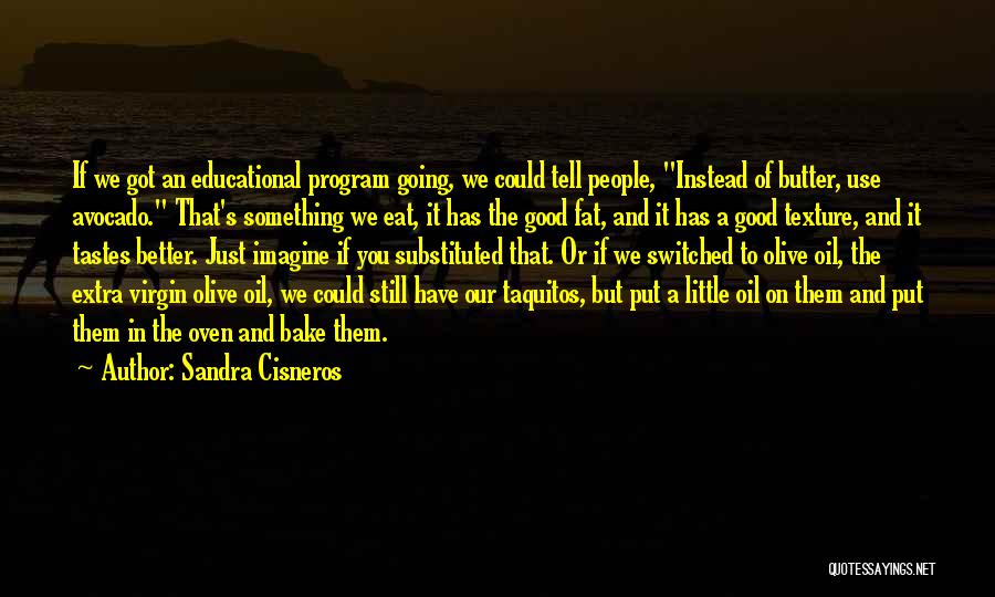 Something Extra Quotes By Sandra Cisneros