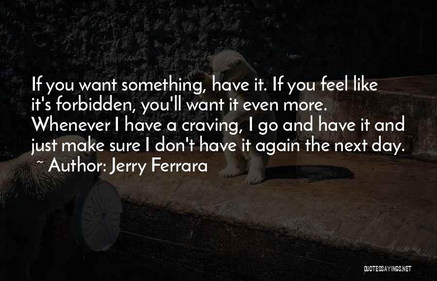 Something Forbidden Quotes By Jerry Ferrara