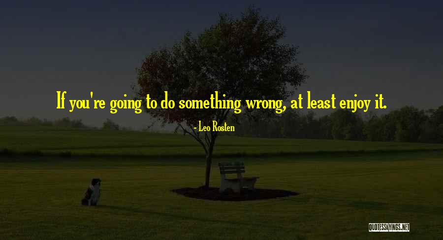 Something Going Wrong Quotes By Leo Rosten