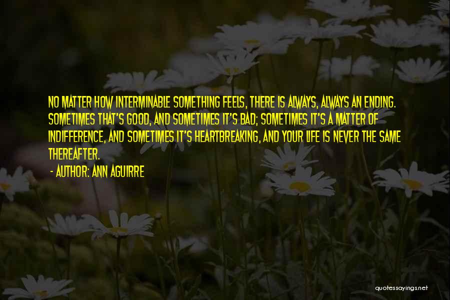 Something Good Ending Quotes By Ann Aguirre