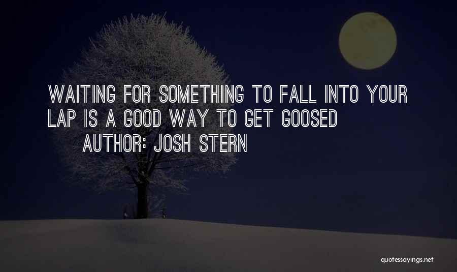 Something Good Waiting Quotes By Josh Stern