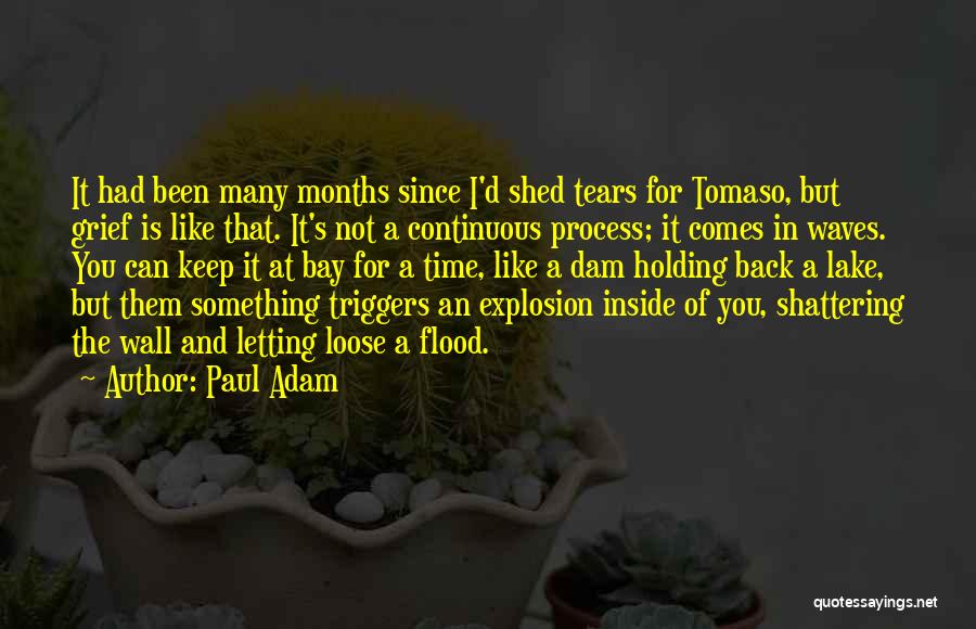 Something Holding You Back Quotes By Paul Adam