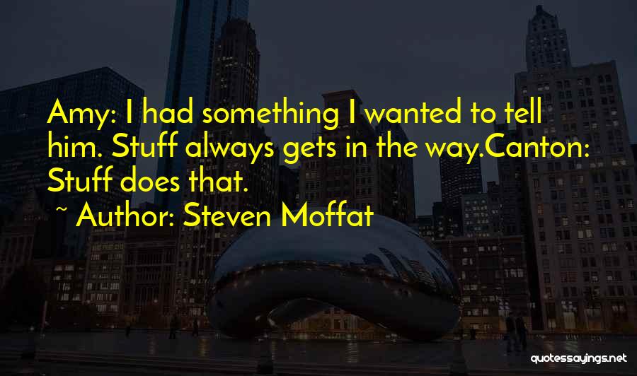 Something I Always Wanted To Tell You Quotes By Steven Moffat