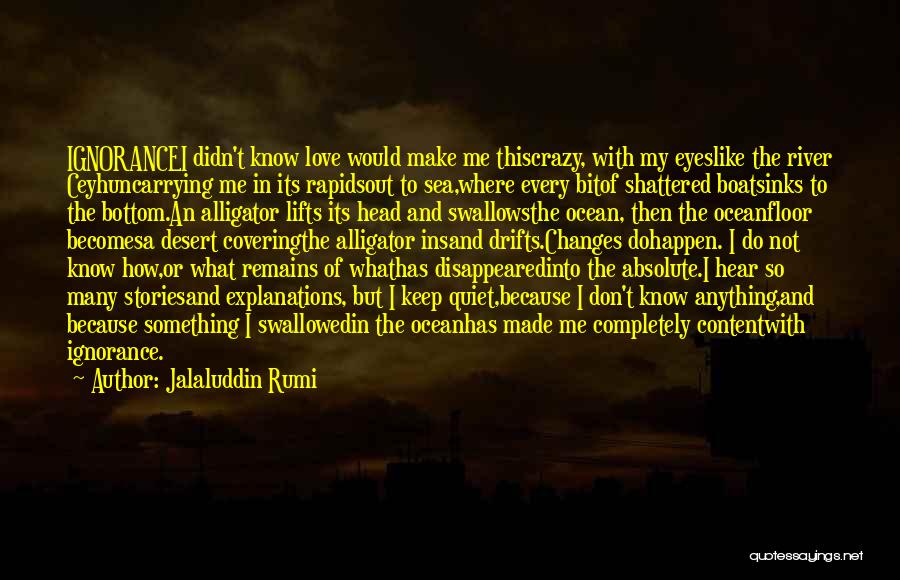 Something I Love To Do Quotes By Jalaluddin Rumi