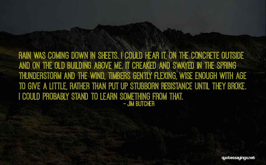 Something In The Rain Quotes By Jim Butcher Something In The Rain Quotes By Jim Butcher