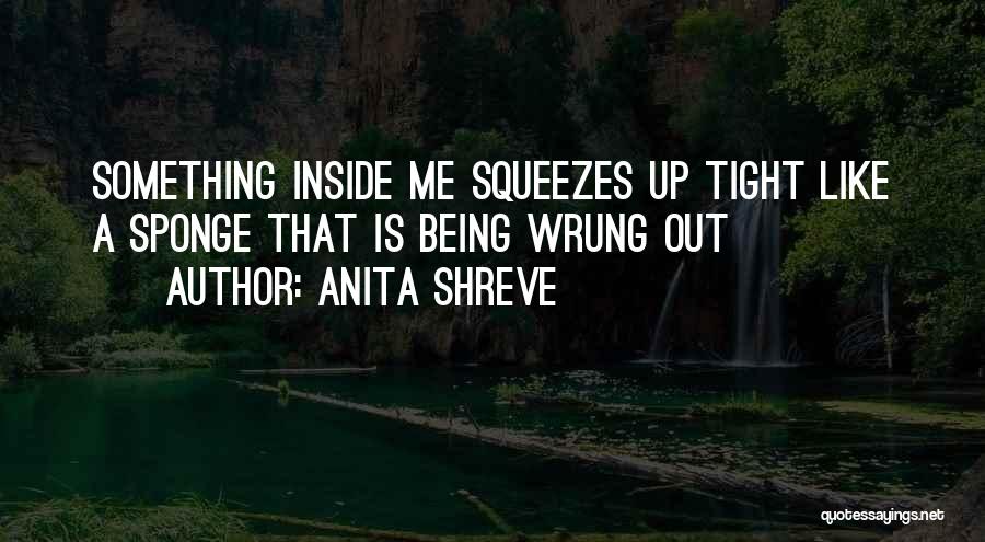 Something Inside Me Quotes By Anita Shreve