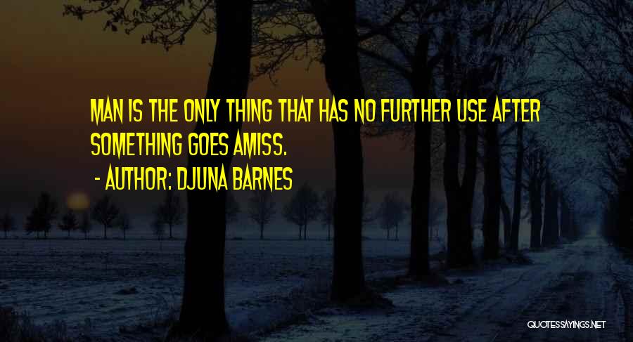 Something Is Amiss Quotes By Djuna Barnes
