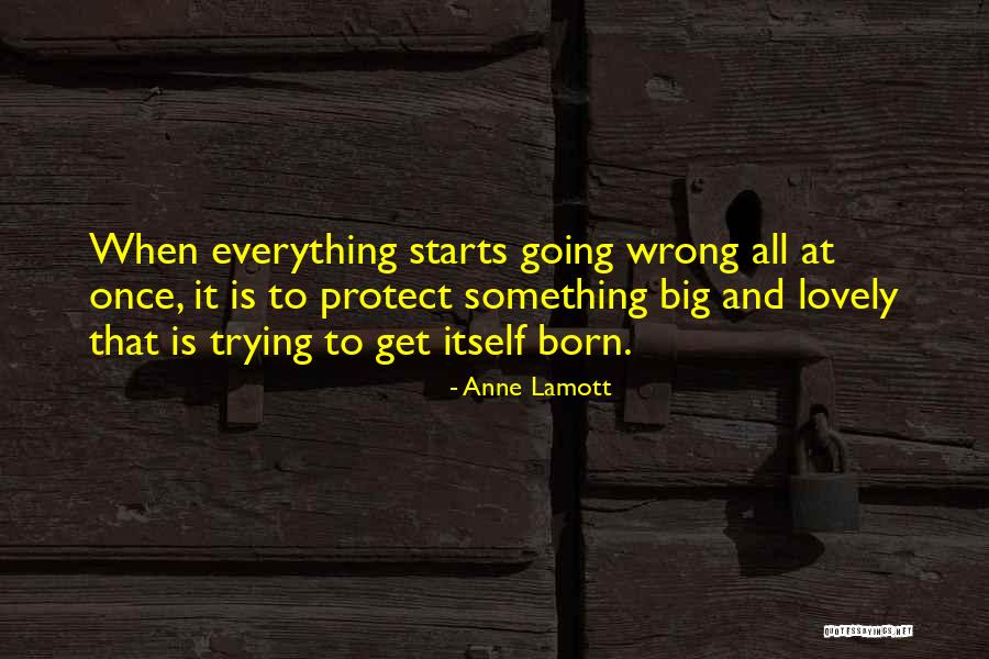 Something Is Going Wrong Quotes By Anne Lamott Something Is Going Wrong Quotes By Anne Lamott