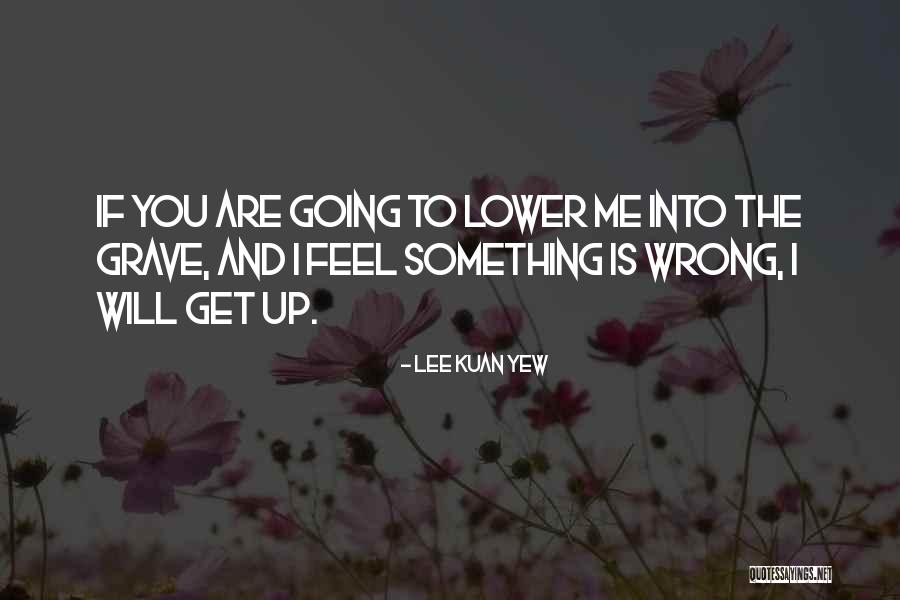 Something Is Going Wrong Quotes By Lee Kuan Yew Something Is Going Wrong Quotes By Lee Kuan Yew