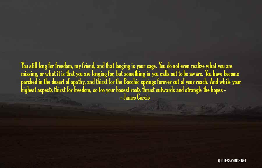 Something Is Still Missing Quotes By James Curcio Something Is Still Missing Quotes By James Curcio