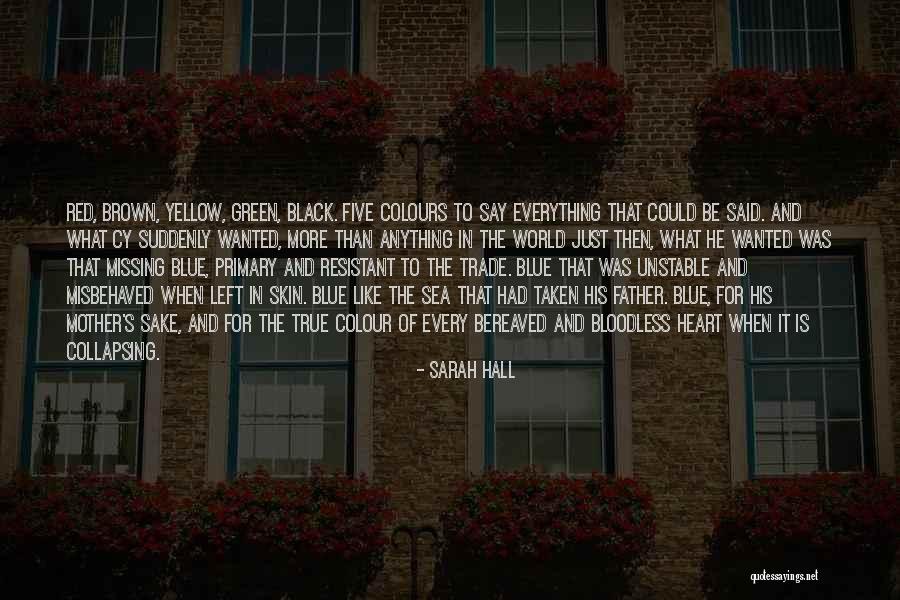 Something Is Still Missing Quotes By Sarah Hall Something Is Still Missing Quotes By Sarah Hall